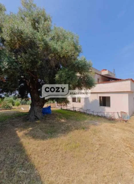 Apartment 600m²  - 2