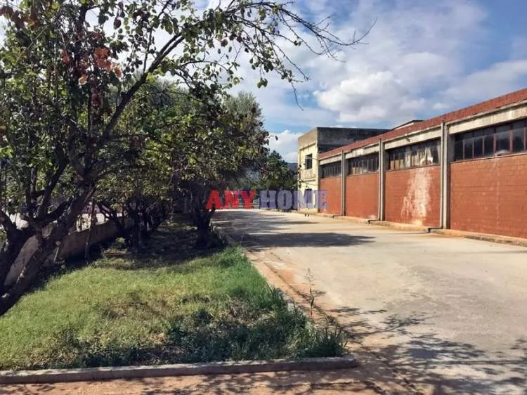 Βιοτεχνικοί / Βιομηχανικοί χώροι 1620τ.μ.  - 5