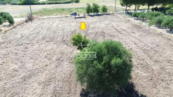 Land Parcel 4850m²  - 4