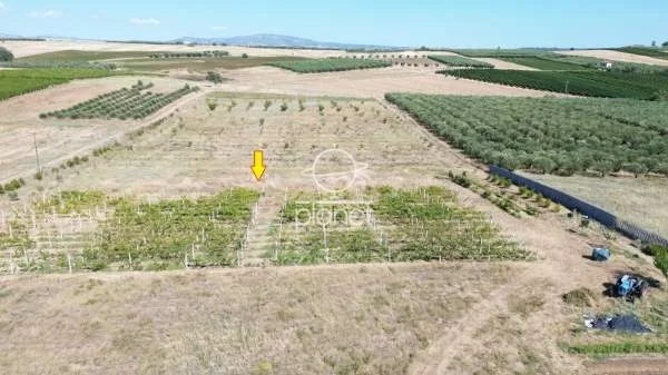 Land Parcel 19560m²  - 2