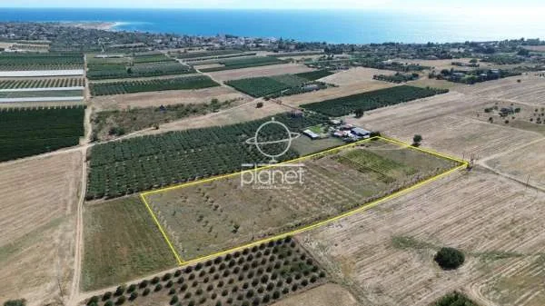 Land Parcel 19560m²  - 3