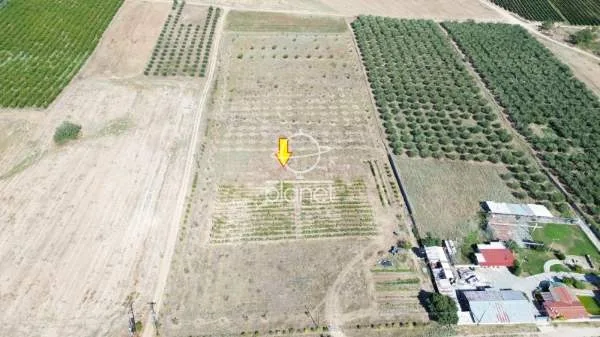 Land Parcel 19560m²  - 4