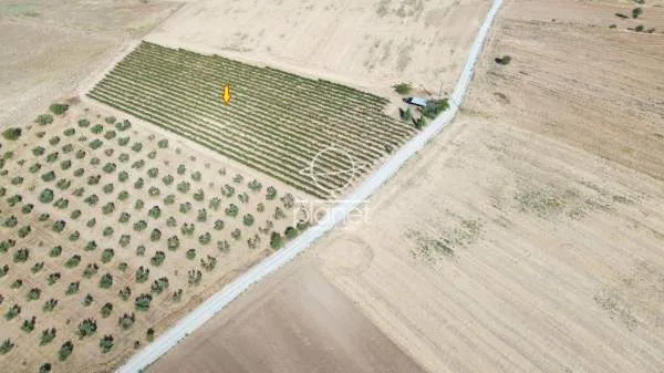 Land Parcel 10850m²  - 2