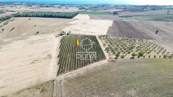 Land Parcel 10850m²  - 3