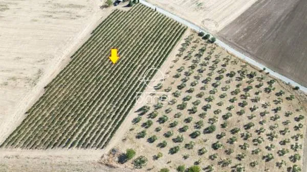 Land Parcel 10850m²  - 4