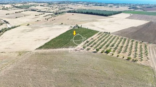 Land Parcel 10850m²  - 5