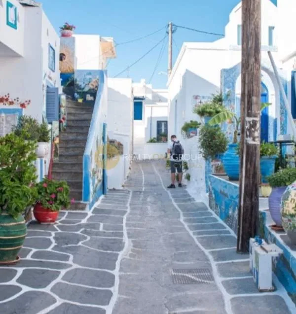 Αγροτεμάχιο 5500τ.μ.  - 3