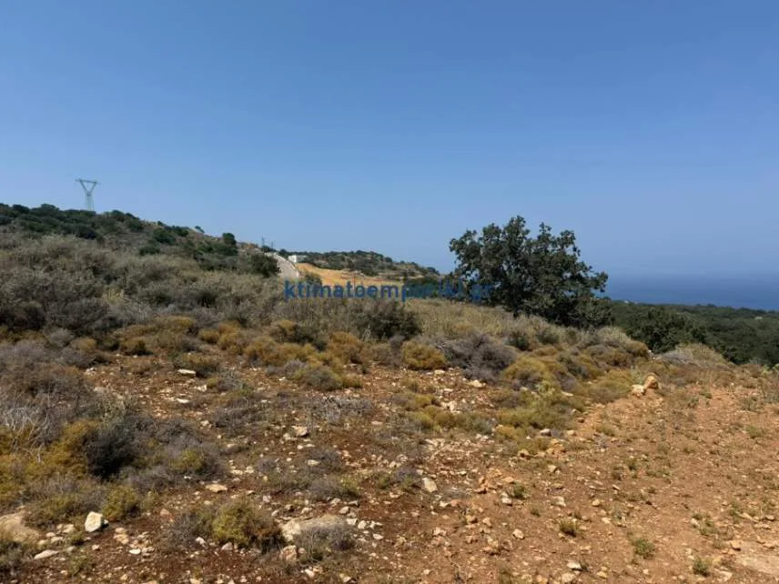 Other .. Area 21000m²  - 2