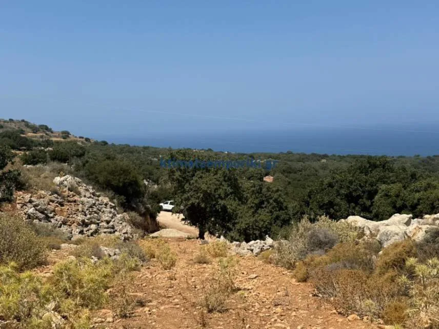 Other .. Area 21000m²  - 3