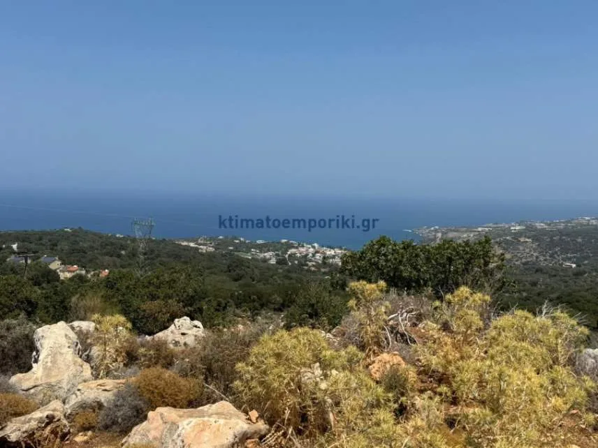 Other .. Area 21000m²  - 4