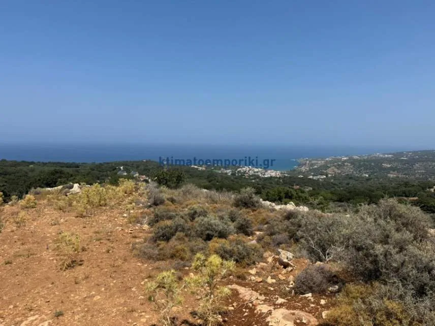Other .. Area 21000m²  - 5