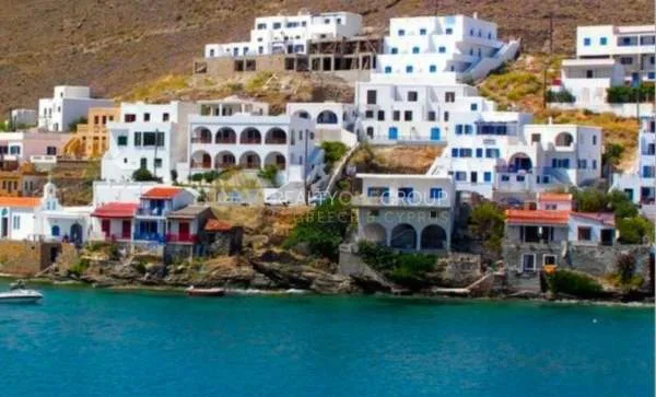 Αγροτεμάχιο 18000τ.μ.  - 3