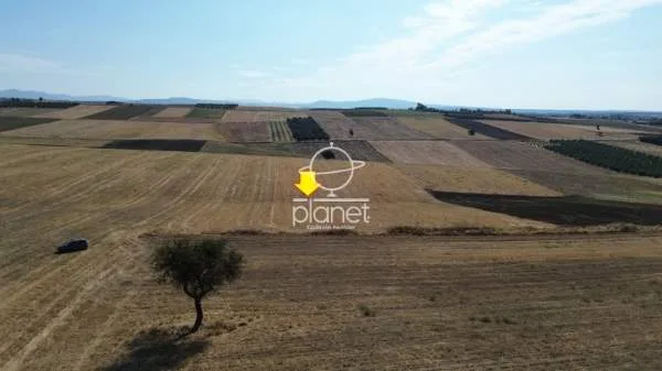 Land Parcel 15800m²  - 4