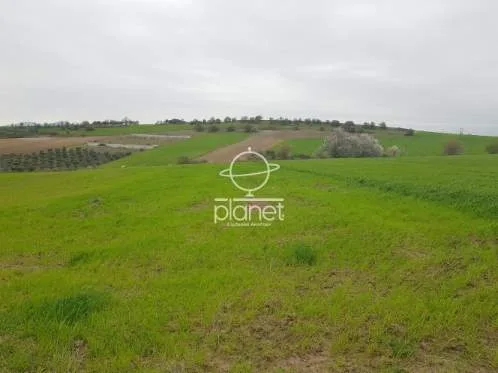Land Parcel 6680m²  - 4