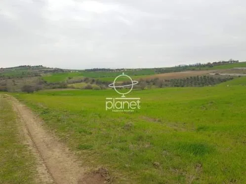 Land Parcel 6680m²  - 5