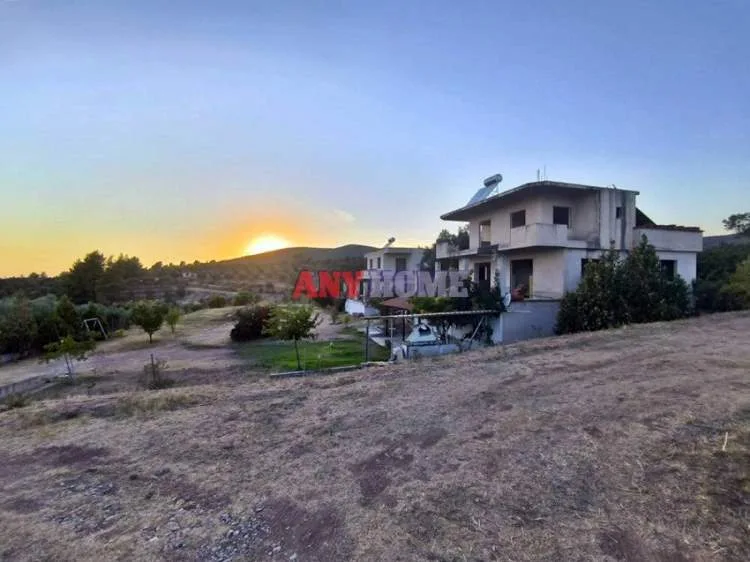 Detached house 540m²  - 3