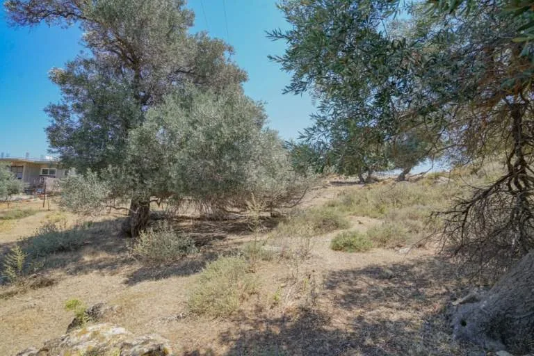 Land Parcel 4123m²  - 2