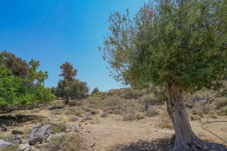 Land Parcel 4123m²  - 4