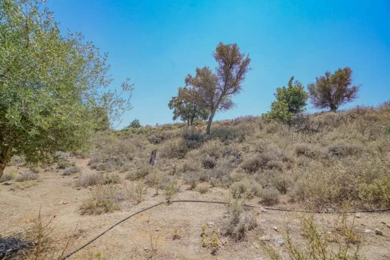 Land Parcel 4123m²  - 5