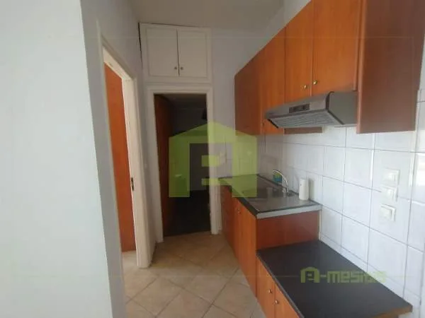 Apartment 48m²  - 5