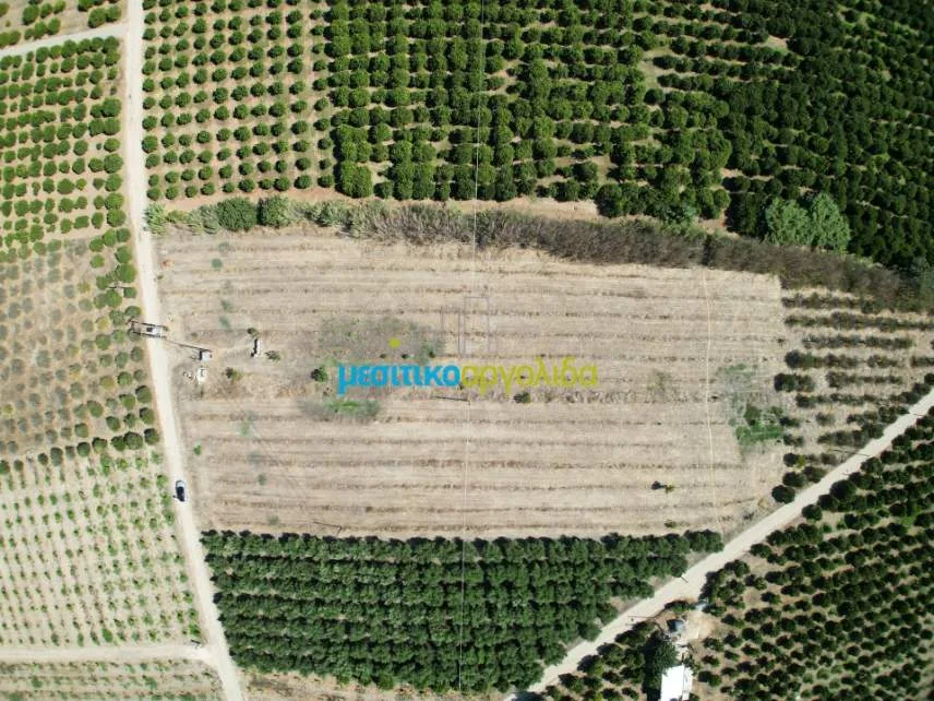 Αγροτεμάχιο 8634τ.μ.  - 5