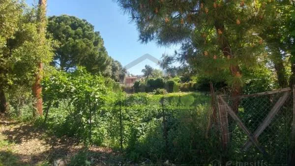 Οικόπεδο 426τ.μ.  - 5
