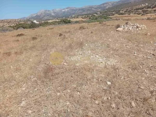 Αποθήκη 1030τ.μ.  - 4