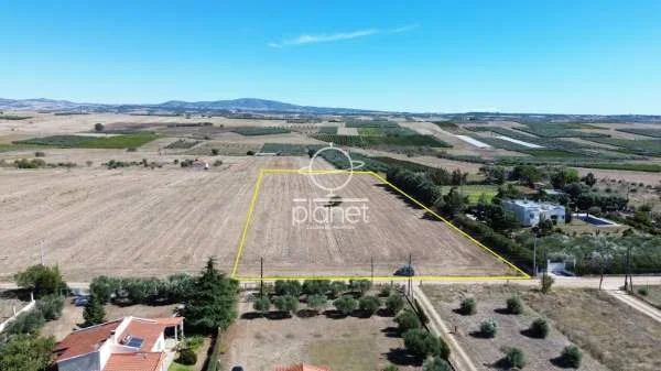 Land Parcel 12530m²  - 5