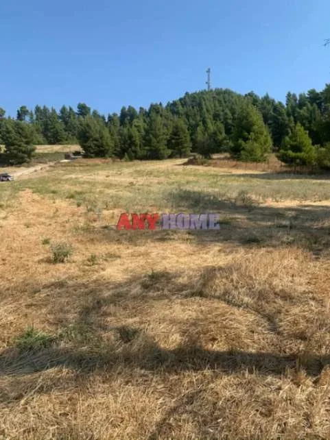 Αγροτεμάχιο 4000τ.μ.  - 2