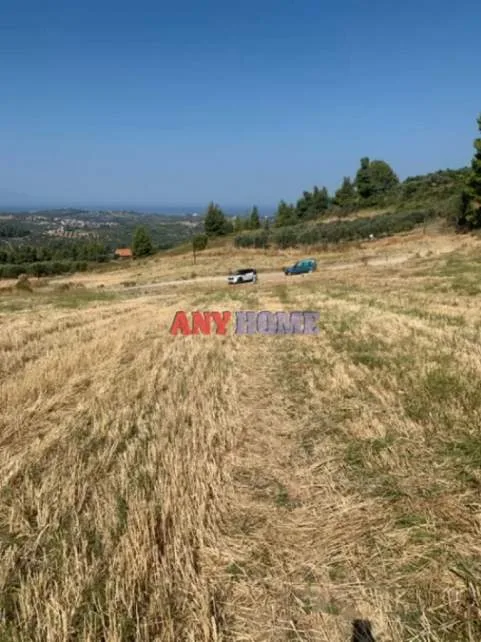 Αγροτεμάχιο 4000τ.μ.  - 3