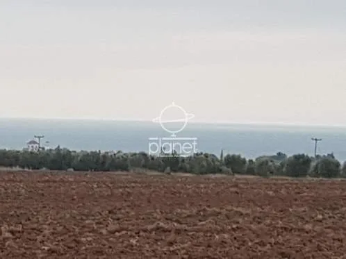 Land Parcel 4300m²  - 4
