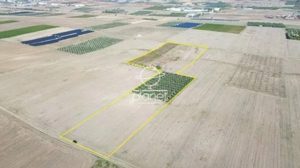 Land Parcel 33500m²  - 3