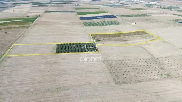 Land Parcel 33500m²  - 4