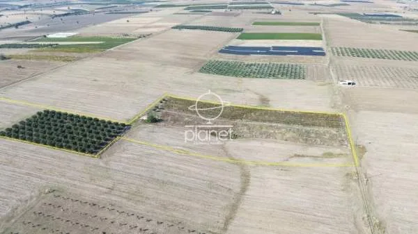 Land Parcel 33500m²  - 5