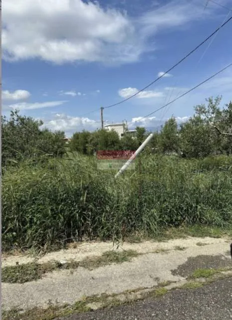 Plot 1232m²  - 3