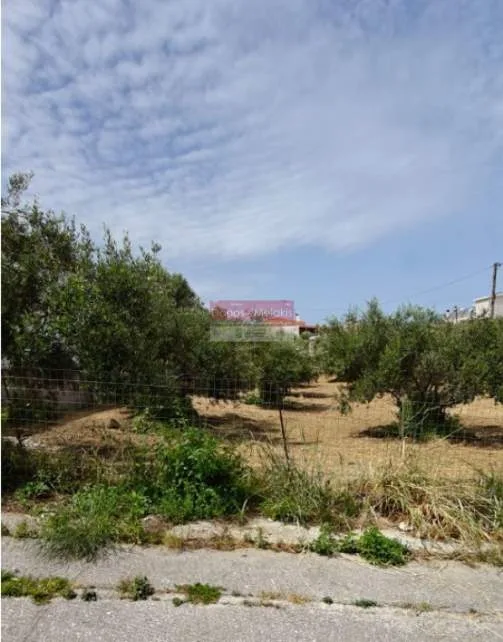Plot 1232m²  - 4