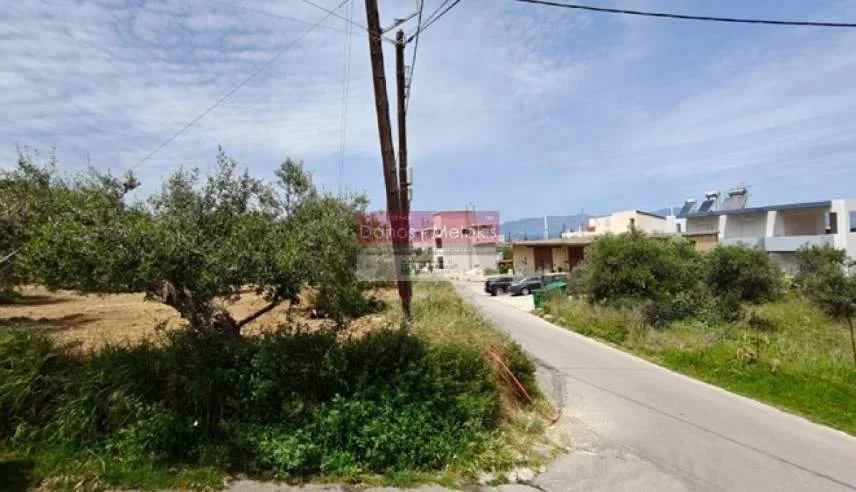 Plot 1232m²  - 5