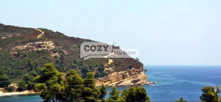 Αγροτεμάχιο 4069τ.μ.  - 2