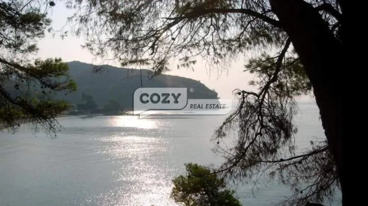 Αγροτεμάχιο 4069τ.μ.  - 3