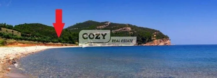 Αγροτεμάχιο 4069τ.μ.  - 4