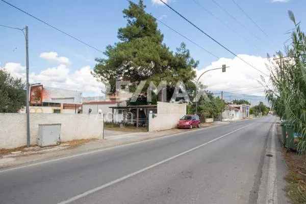 Αποθήκη 742τ.μ.  - 3