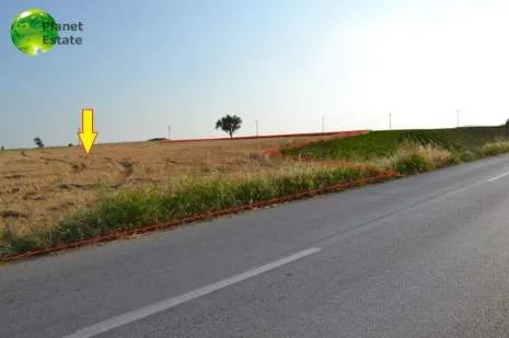 Land Parcel 10000m²  - 4