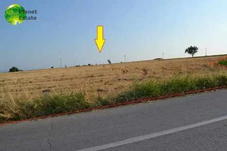 Land Parcel 10000m²  - 5