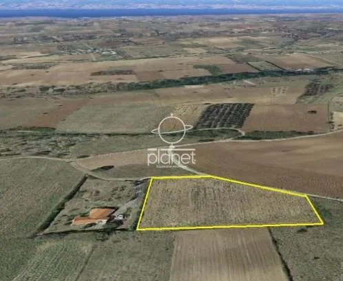 Land Parcel 8000m²  - 3