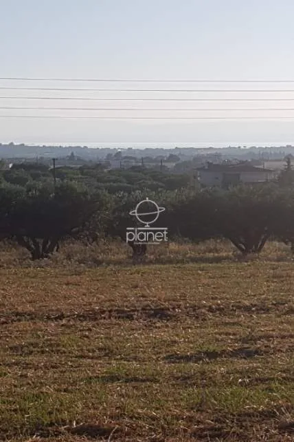 Land Parcel 10000m²  - 4