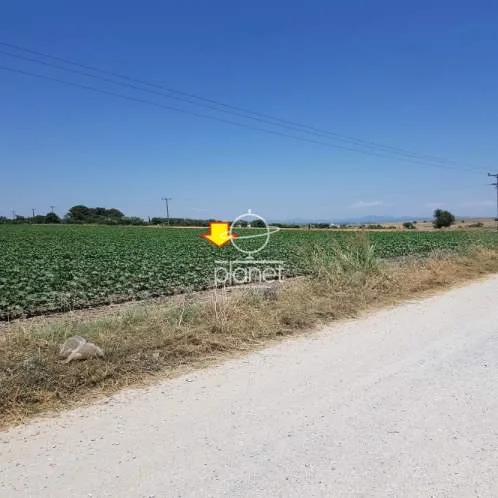 Land Parcel 4499m²  - 3