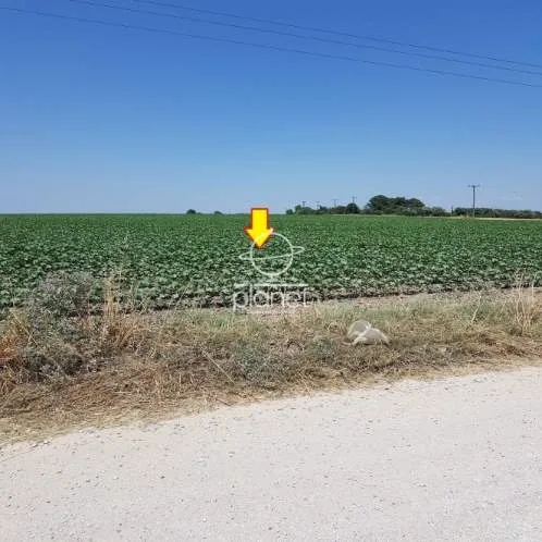 Land Parcel 4499m²  - 4