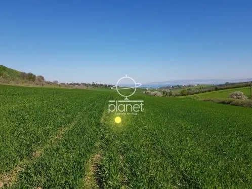 Land Parcel 16000m²  - 2