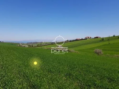 Land Parcel 16000m²  - 3