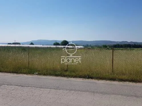 Land Parcel 6000m²  - 5